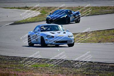 media/Feb-18-2024-Extreme Speed (Sun) [[27751ef890]]/Gold Group/